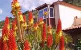 Apartamento De Vacaciones Canarias: Apartamento Mar Y Teide 
