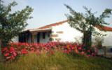 Casa De Vacaciones Canarias: Finca El Estanco Viejo "poleo" 