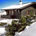 Casa De Vacaciones Nendaz: Casa De Vacaciones Mustela 