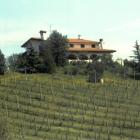 Casa De Vacaciones Emilia Romagna: Casa De Vacaciones Salsomaggiore Terme 