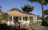 Casa De Vacaciones Gassin: Chênes Verts (Fr-83580-05) 