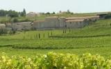 Apartamento De Vacaciones Poitou Charentes: Le Coche (Fr-16130-03) 