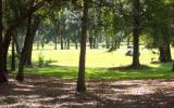 Apartamento De Vacaciones Hilton Head Island: St. Andrews Commons 1752 ...