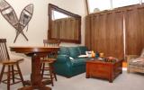Apartamento De Vacaciones Steamboat Springs: Bronze Tree Condos - B607 ...