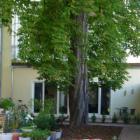 Apartamento De Vacaciones Berlín: Cityoase 