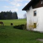 Apartamento De Vacaciones Bayern: Gerti 