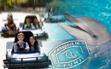 Apartamento De Vacaciones Alabama: Seawind Condominiums 1002 Us4030.41.1 