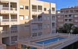Apartamento De Vacaciones Torrevieja: Torrevieja Es9755.952.1 