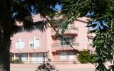 Apartamento De Vacaciones Caldas Da Rainha: Caldas Da Rainha ...