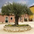 Apartamento De Vacaciones Siracusa: Apartamento Agriturismo Borgo Degli ...