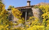 Casa De Vacaciones Valencia De Alcántara: La Casita Del Olivo ...