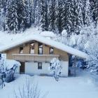 Apartamento De Vacaciones Gerlos: Apartamento Gerlos 