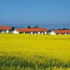 Apartamento De Vacaciones Dinamarca: Apartamento Sandkås 