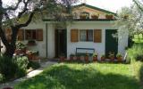 Casa De Vacaciones Massarosa: Il Banano It5205.164.1 