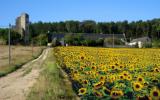 Casa De Vacaciones Lerné: Domaine De Cessigny (Fr-37500-05) 