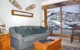 Apartamento De Vacaciones Steamboat Springs: Snow Flower Condos 303 ...
