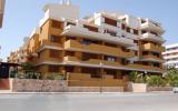 Apartamento De Vacaciones Torrevieja: App. Punta Prima A (Es-03185-02) 