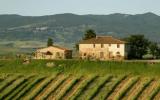 Casa De Vacaciones Toscana: Agriturismo Pelagaccio Bilo (It-56040-20) 