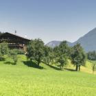 Apartamento De Vacaciones Fügenberg: Guggerhof 