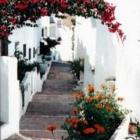 Apartamento De Vacaciones Nerja: Estudio Casa Agnes 