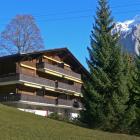 Apartamento De Vacaciones Obwalden: Apartamento Bodmisunne 