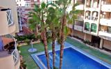 Apartamento De Vacaciones Torrevieja: Torrevieja Es9755.303.1 