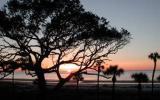 Apartamento De Vacaciones Hilton Head Island: Windsor Court South 3208 ...