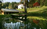Apartamento De Vacaciones Karnten: Hollinger (At-9542-05) 