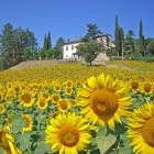 Casa De Vacaciones Emilia Romagna: Casa De Vacaciones La Castellaccia 
