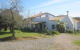 Casa De Vacaciones Portugal: Brisa Do Mar (Pt-8700-02) 