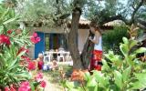 Casa De Vacaciones Fréjus: Résidence La Palmeraie (Fr-83618-02) 