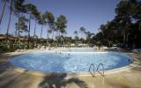 Apartamento De Vacaciones Aquitania: L'allée Des Dunes (Fr-40440-02) 