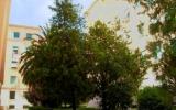 Apartamento De Vacaciones Lazio: Gianicolo (It-00152-01) 