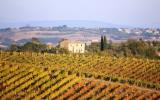 Casa De Vacaciones Montepulciano: Antico Vigneto (It-53045-10) 