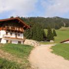 Apartamento De Vacaciones Austria: Chalet Innersalvenberg 