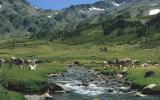 Apartamento De Vacaciones Font Romeu: Résidence Le Pic De L'ours ...