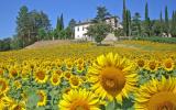 Casa De Vacaciones Sansepolcro: La Castellaccia It5234.800.2 