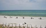 Apartamento De Vacaciones Destin Florida: Beach House Condominium B303B ...