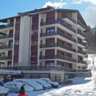 Apartamento De Vacaciones Nendaz: Apartamento Zanfleuron 