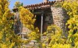 Casa De Vacaciones Valencia De Alcántara: El Olivo/jiniebro 