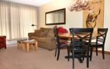 Apartamento De Vacaciones Steamboat Springs: Bronze Tree Condos - B303 ...