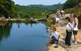 Casa De Vacaciones Dinant: Domaine Du Bonsoy Be5542.200.2 