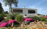 Apartamento De Vacaciones Tiuccia: U Melu (Fr-20111-04) 