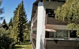 Apartamento De Vacaciones Seefeld Tirol: Am Birkenhain At6100.100.24 