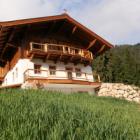 Apartamento De Vacaciones Hopfgarten Tirol: Chalet Innersalvenberg 
