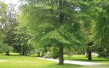 Apartamento De Vacaciones Midi Pyrenees: Les Jardins Ramel (Fr-31110-05) 