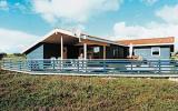 Casa De Vacaciones Søndervig: Søndervig Dk1040.1289.1 