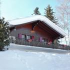 Casa De Vacaciones Nendaz: Casa De Vacaciones Le Hibou 