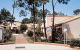 Casa De Vacaciones Países Del Loira: Le Hameau Des Pins (Fr-85160-02) 