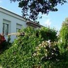 Casa De Vacaciones Herrera De Alcántara: La Romera 